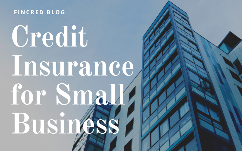 Credit Insurance for Small Business
